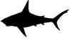 Shark Sil Image